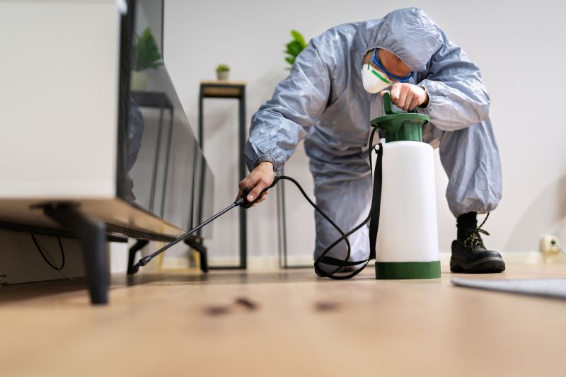 Bed Bug Fumigation