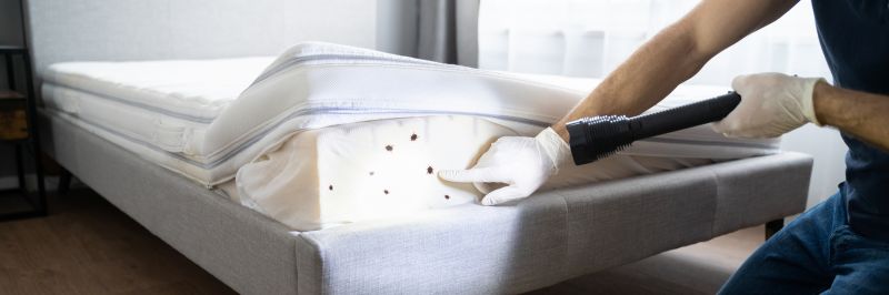 Bed Bug Fumigation