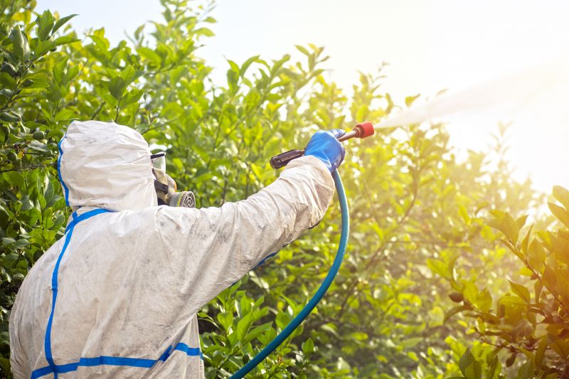 Pest Fumigation Service in Madison, WI