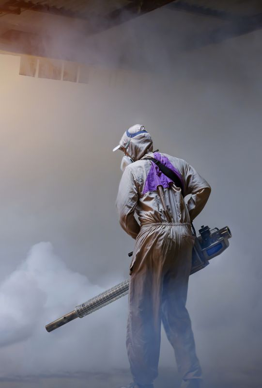 Rat Fumigation Service in Clarksville, TN