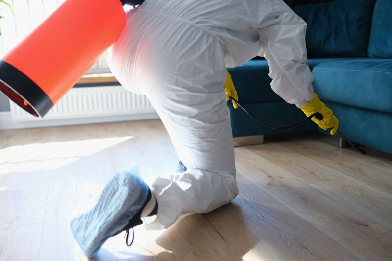 Rat Fumigation Service in Santa Fe, NM