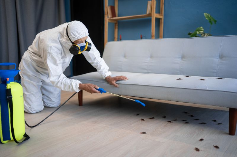 Roach Removal